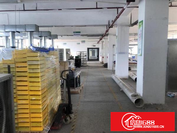 坑梓高速口标准厂房楼上整层1450平方带装修可分租