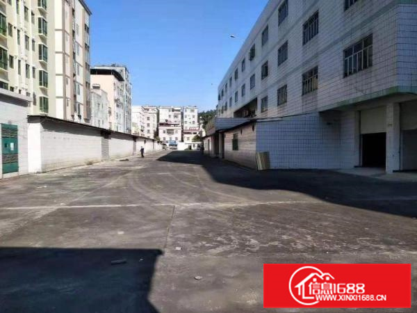 沥林25000平米独院厂房出租可分租