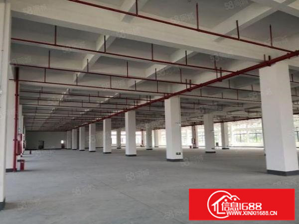 常平独门独院标准原房东厂房一楼出租