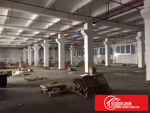 龙岗宝龙新出1楼800平米6米高可分租