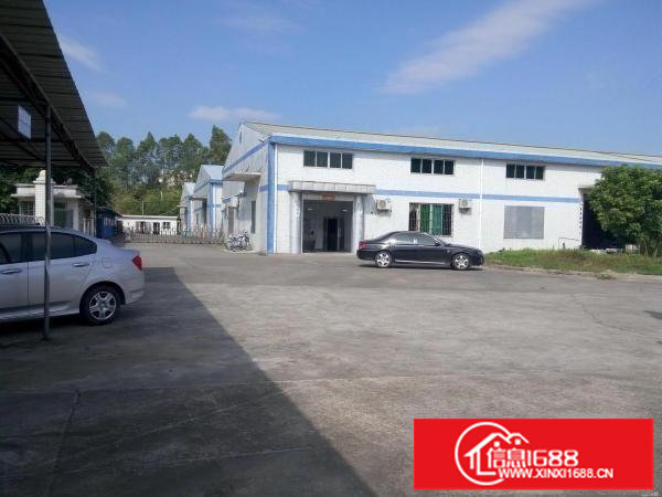 坪地村委独院钢结构厂房两栋2000平方米底价出租