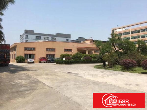 大朗水口新出标准一楼500方，价格超便宜带装修可办环评