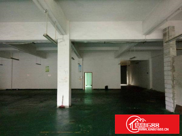 出租惠阳新墟一楼5米高标准厂房500平方