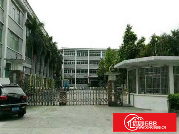 常平金美各式独院厂房8500平米带办公楼1~4层2500