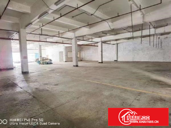 独立单一层标准厂房1900平方米招租