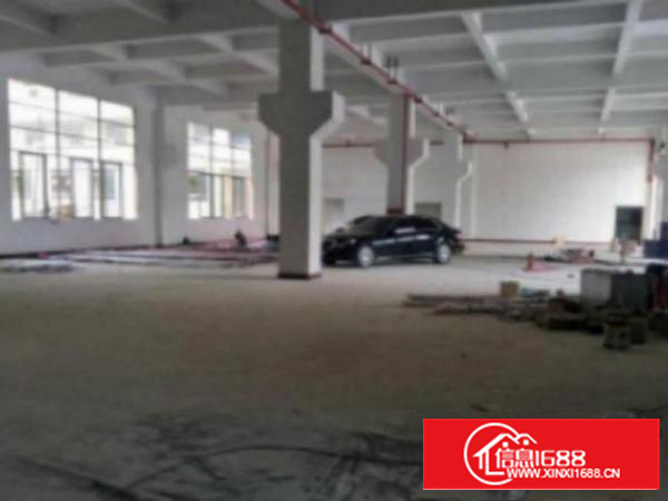 万江石美独院厂房分租1楼1800平方低价招租，带牛角