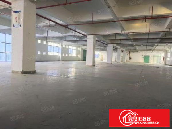 雁田布心工业区独院一楼2百5百8百1千平红本仓库厂房出租分租