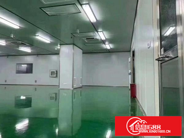 同乐新出楼上实际面积1800平带豪华装修带红本