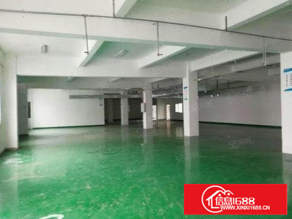 塘厦石鼓独院2楼500平方！刷好现成地坪漆装修！