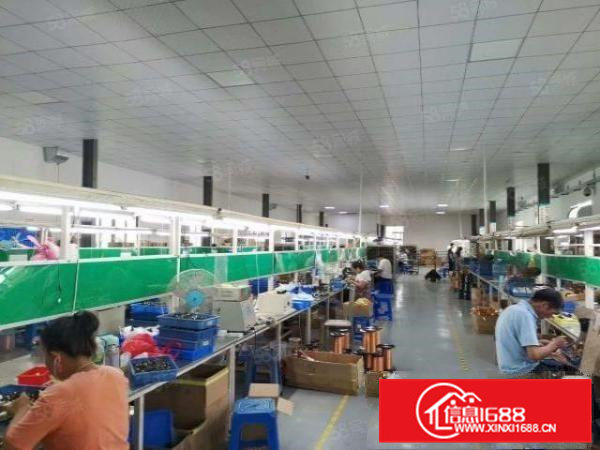 清溪大利楼上800平米带现成办公室装修