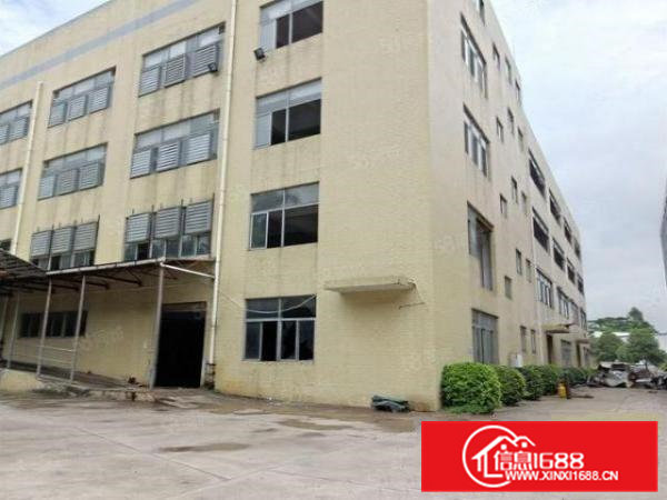 大岭山新出厂房招租楼上1500平方，现成装修办公室，天花吊顶