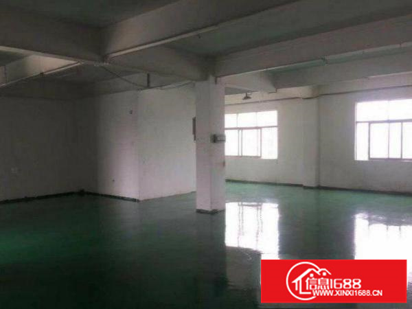 1000平米办公 生产厂房500平起租