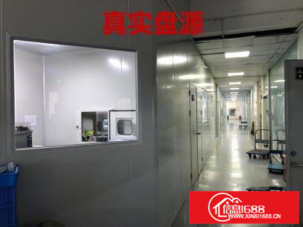 坂田原房东标准厂房1200平全新无尘车间带装修水电齐全
