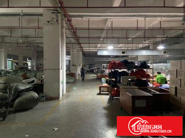 标准独院厂房3层8400平方，工业地，可办环评，水电线路齐全