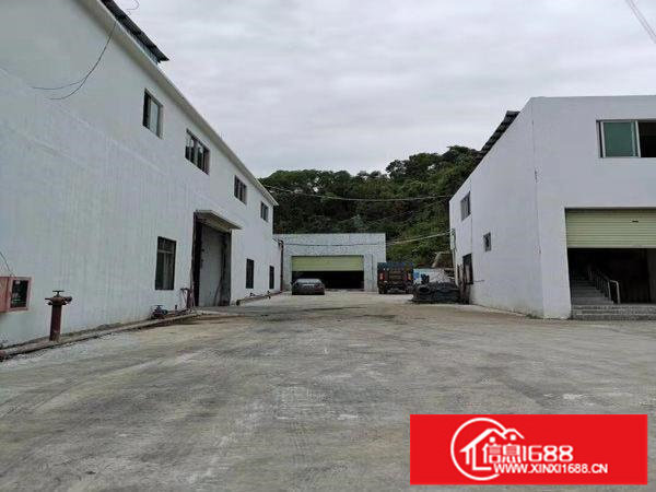 横岗深坑2000平米6米一楼出租