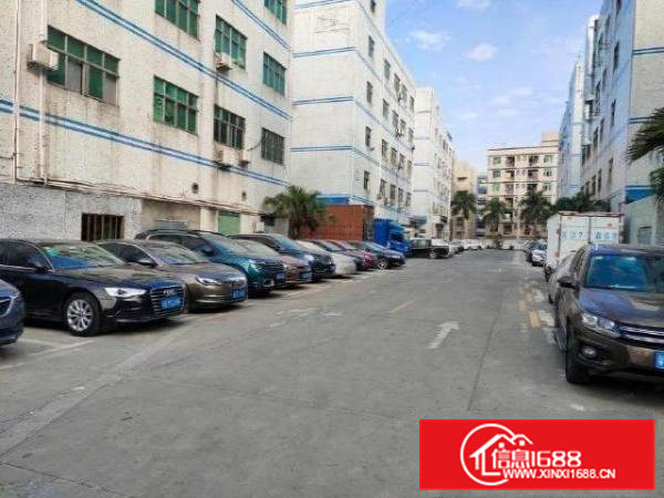 清溪铁松村3楼精装修680平厂房租到即可享两个月免租期