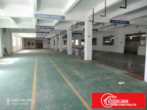 横岗原房东一楼1100平出租，可分租，高度5.5米，