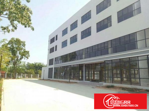 省道S255边上村委厂房出售60000平米