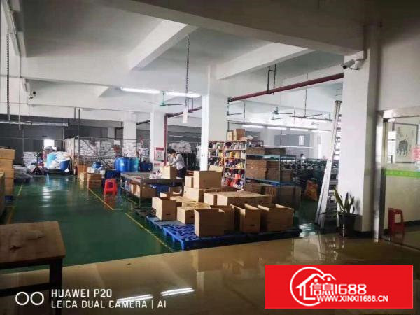 新空出楼盘塘厦镇石鼓1300平方标准厂房带办公室