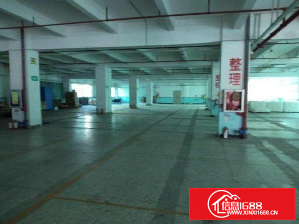 布吉出租原房东2400平1楼高6米