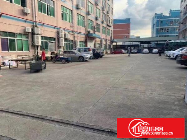 横岗六约新出一二楼各1400平方出租可分100以上