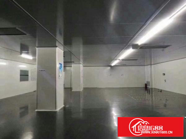 大岭山无尘车间2楼2600平方出租