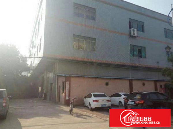 常平天鹅湖独院5300平方厂房原业主出租