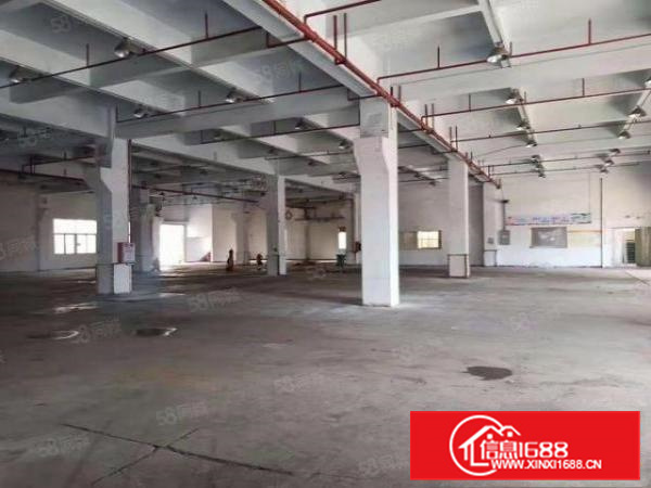 长安新空出独院总面积12000平米，下手慢无