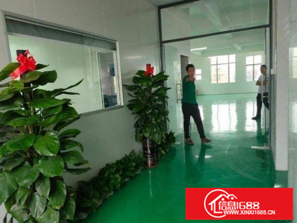 坪地镇富地工业园新出原房东3楼530平厂房无需转让费