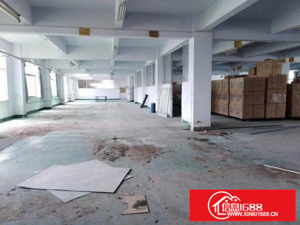 惠州秋长新出标准厂房(三楼)1600平方，精装修