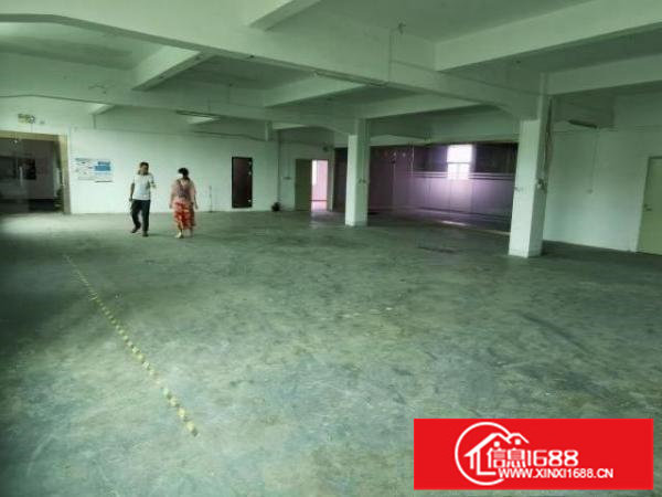 实际面积1100平20块原房东厂房