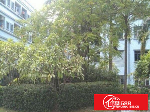 出租坪山新区坪山花园式厂房4楼800带办公室水电