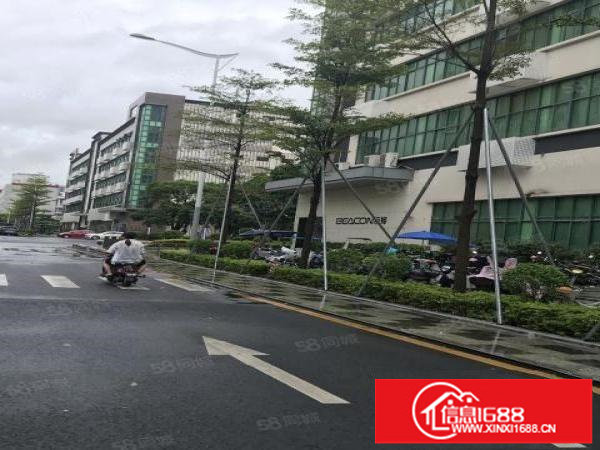 龙华大浪高新产业园新出300到2800平精装厂房招租