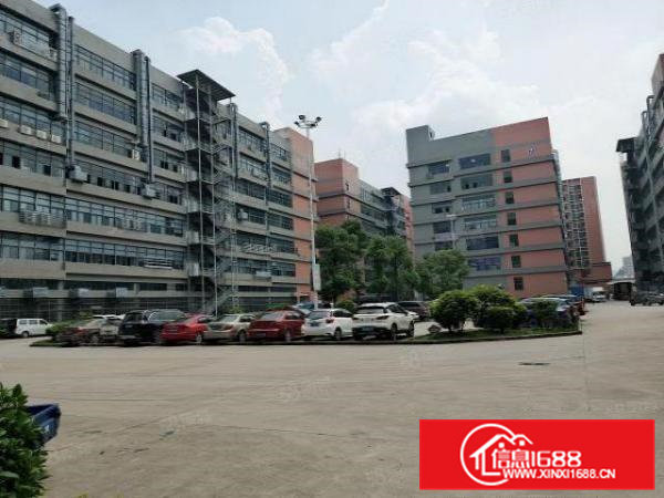 凤岗镇金凤凰大工业园楼上带办公室装修厂房出租660平方