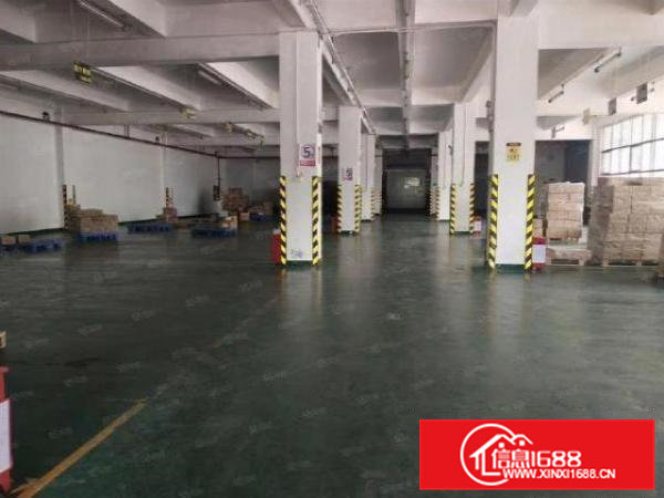 企石上洞村二楼1100平方带装修厂房出租形象好