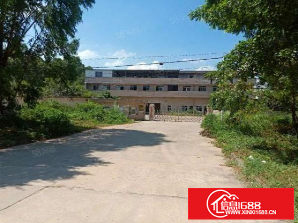 乐平礼义大道边独院10800平方厂房出租，空地大