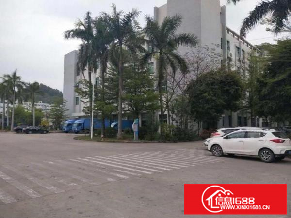 大亚湾西区原房东标准厂房23楼1万平方米出租