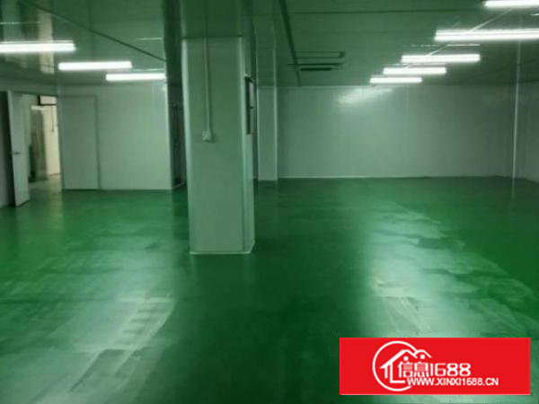 新桥高速路口107国道边新出2楼1000平无尘车间免装修费