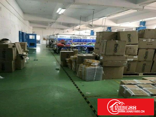 布吉吉厦带装修15O0平厂房出租