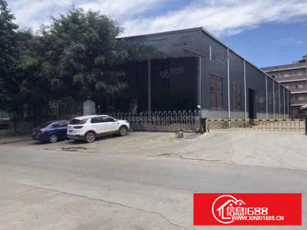 原房东单一层钢构6.5米高独院厂房2500出租任意分租