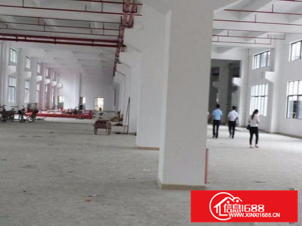 凤岗全新大型独院厂房出租39500平方近深圳平湖