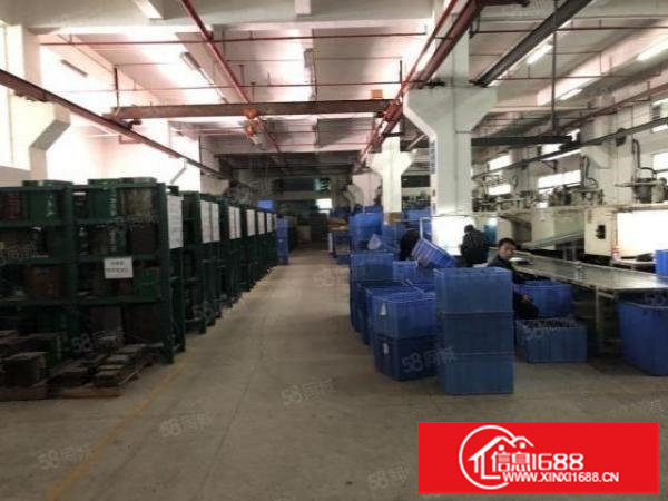 横岗安良小独院标准厂房带喷淋装修出租5000平方