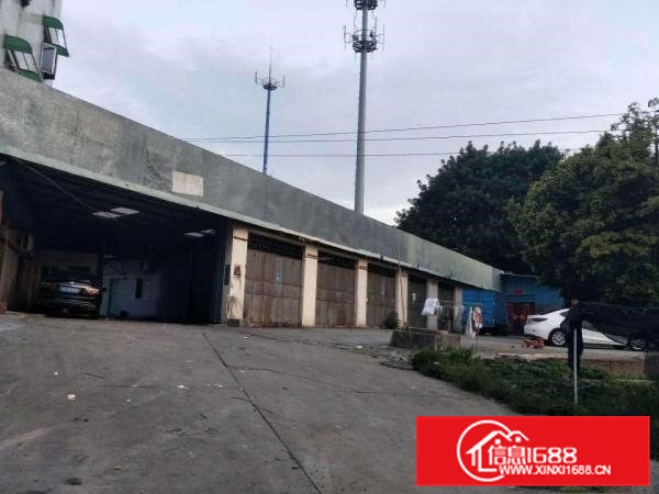 茶山工业区单一层仓库1400平方出租