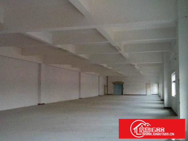 镇隆楼下村1100平标准厂房，配套齐全