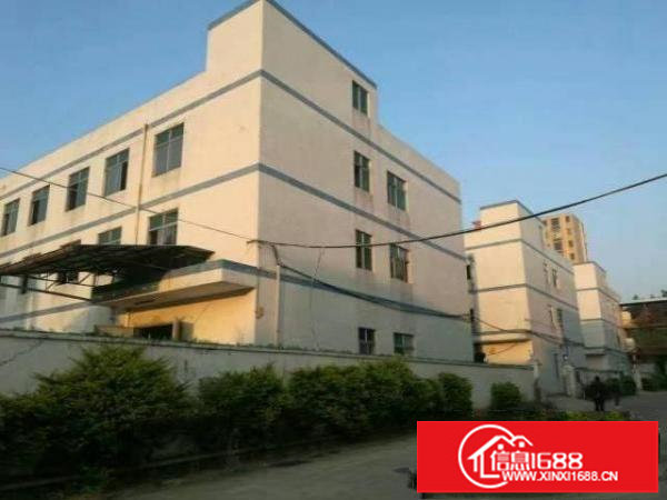 葵涌葵涌文化艺术中心旁厂房5300平米