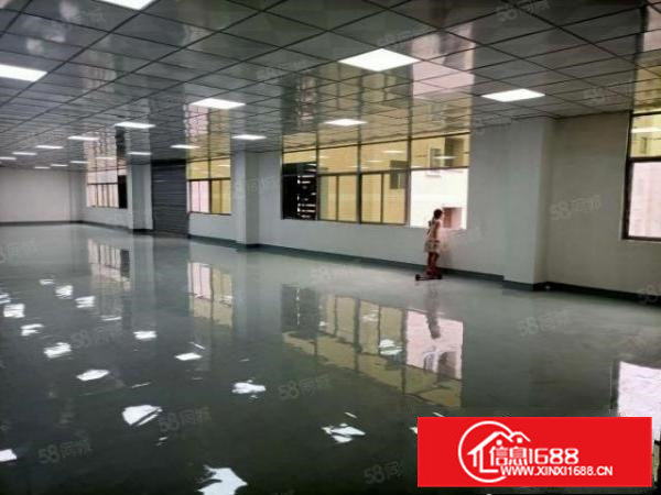 东坑镇成熟工业区新出原房东独院标准厂房8000平，可分租