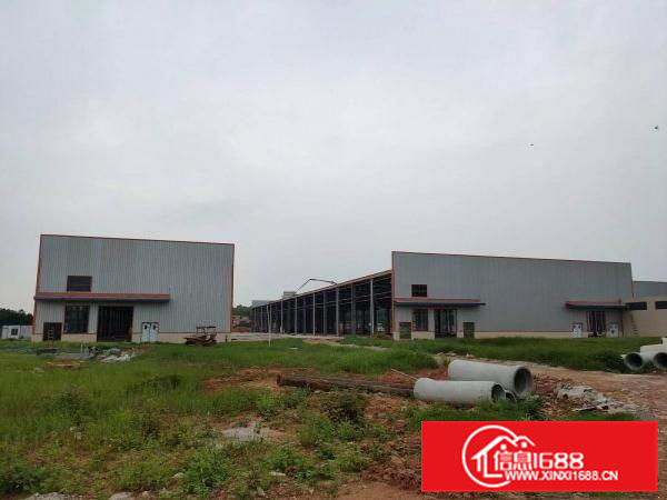 狮山虹岭路6万方全新独院厂房，3000平方起可分租，可装吊机