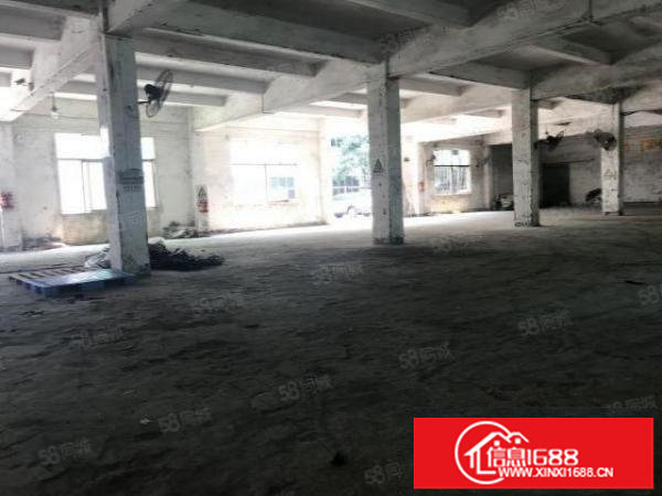 龙岗爱联原房东一楼实际面积出租整层700平方，可分租一半