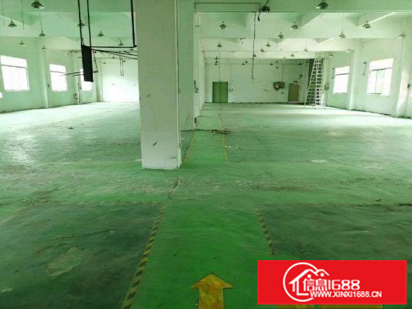 安良六约一手房东（原房东）独院厂房出租