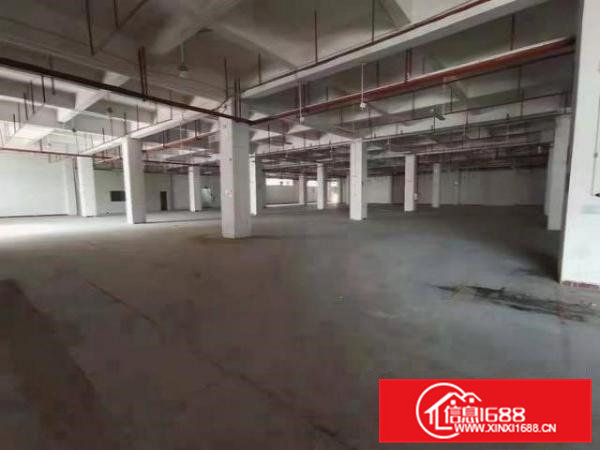 大岭山新出花园式标准厂房1280平方精装修可办环评